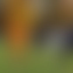 31.10.2021 - IGRALI SRCEM: Nekompletna Croatia ZH uzela bod na gostovanju kod FC Industrie Turicum