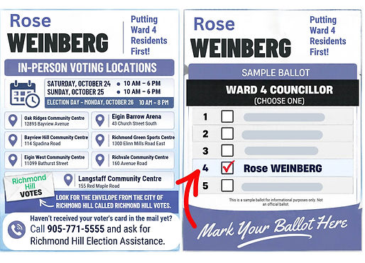 Mark Your Ballot Here Rose Weinberg-3.jpg