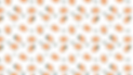 mangopattern.png