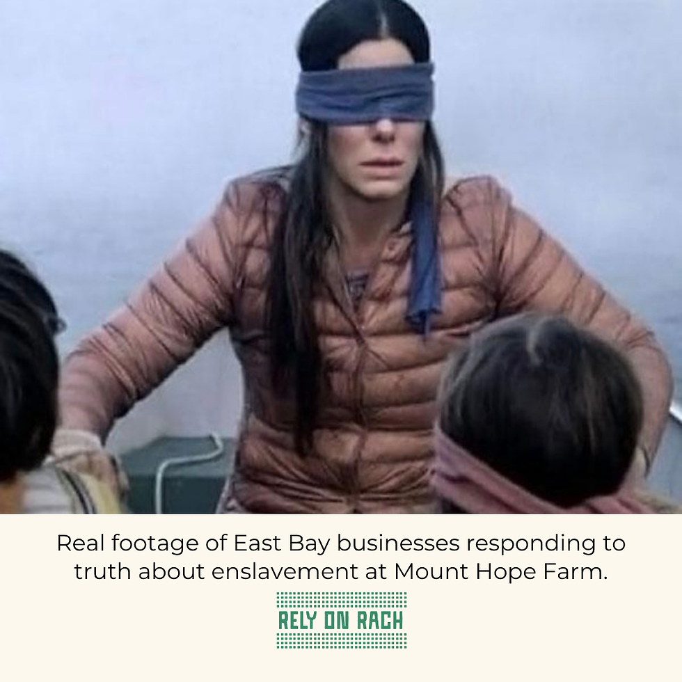 A picture of the iconic scene from Bird Box where the mother and her two children are blindfolded in a boat.
Under the picture reads "Real footage of Easy Bay businesses responding to truth about enslavement at Mount Hope Farm