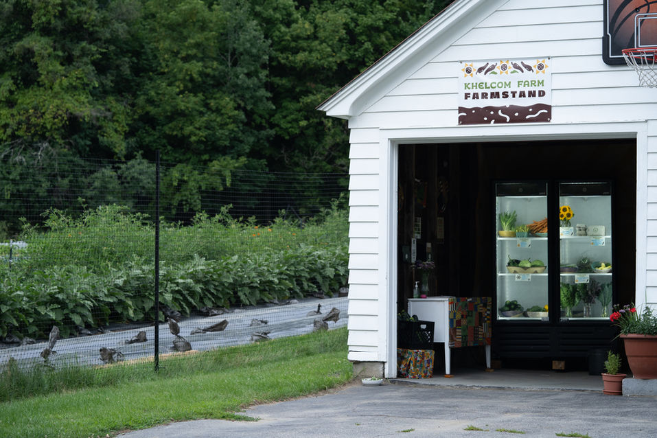 KHELCOM_FARM_2022-82.jpg