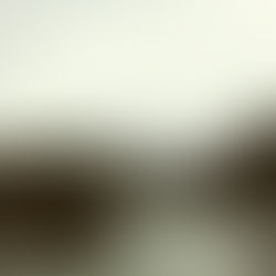 Crónicas: On the lost and overlooked