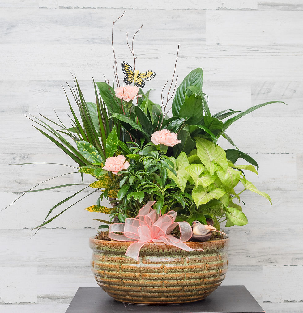 Dishgarden in Ceramic