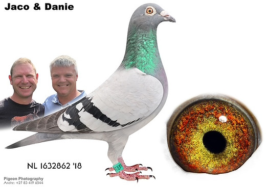 NL 1632862 '18.jpg