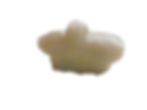 SCALLOP