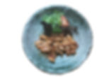 T16.CHICKEN TERIYAKI