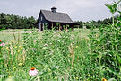 A picturesque barn with a dark exterior and cupola, set in a lush, open field with wildflowers. The structure blends modern craftsmanship with traditional aesthetics. Sawteeth Carpentry builds custom homes, barns, and restorations in upstate New York, Essex, and the Lake Champlain region.