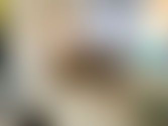 How to Plan for a Hurricane-Resilient Bathroom Remodel in Punta Gorda