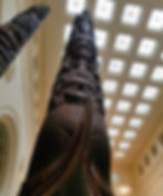 Field Museum, No. IX