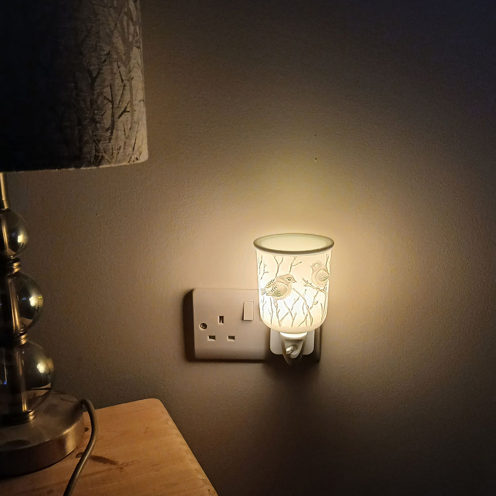 bird plug in wax warmer