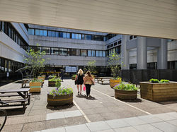 Rejuvenated courtyard at Lauriston Building