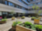 Rejuvenated courtyard garden at Lauriston Building Hospital in Edinburgh