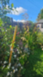 Edible planting mix