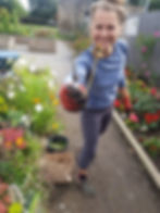 Collecting seed for next season