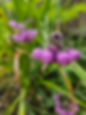 20240616_091020.jpg