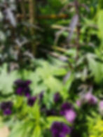 Edible planting mix