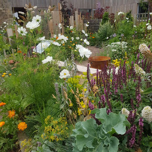 Summer in Resourceful Garden Saughton Park