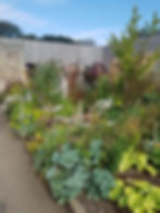The power of foliage - Resourceful Garden in Saughton Park