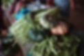 Vegetables from the Feed Back exchange