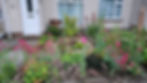 Small space front garden packed with plants
