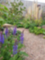Resourceful Garden Saughton Park