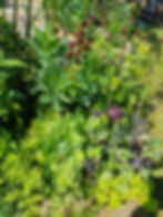 Edible planting mix