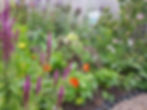 Edible planting mix