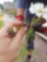 garden care.jpg
