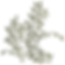 leftbush.png