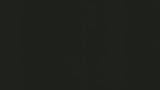 bg.jpg