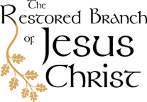 PNG - Color - Transparent.png