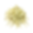 safed musli_20260106_155244_0002.png