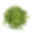 neem_20260106_155244_0008.png