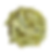 senna leaves_20260106_155244_0009.png