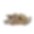 tex patta_20260106_155455_0001.png