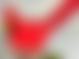 How I Found the Writer Within Me