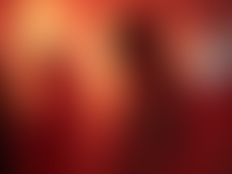 Fashion pop-up event in a stylish lounge with curated lighting