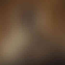 Distinguished man, grey beard, glasses, plaid suit, looking directly.