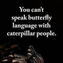 Butterfly Language
