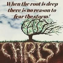 Anchored in Christ