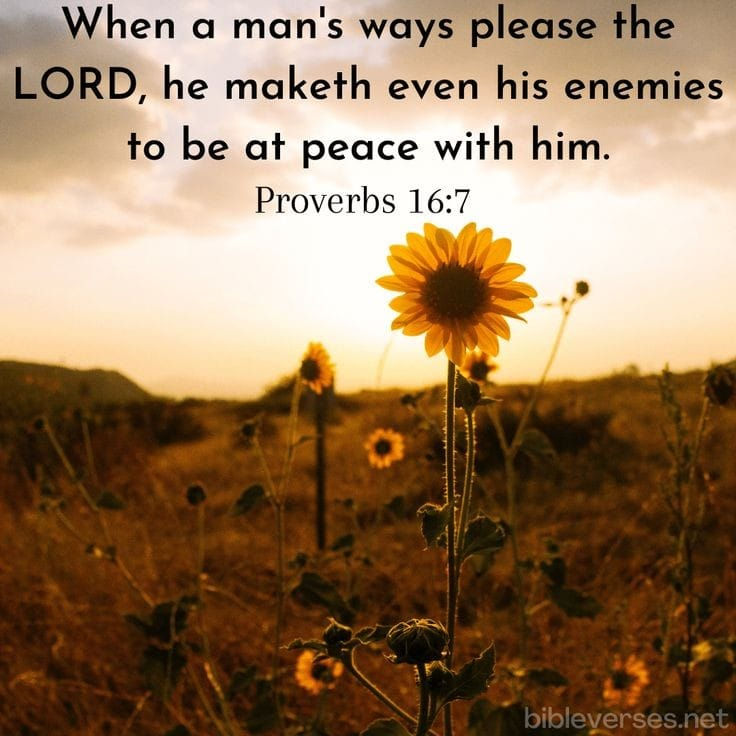 Peace Through Pleasing God