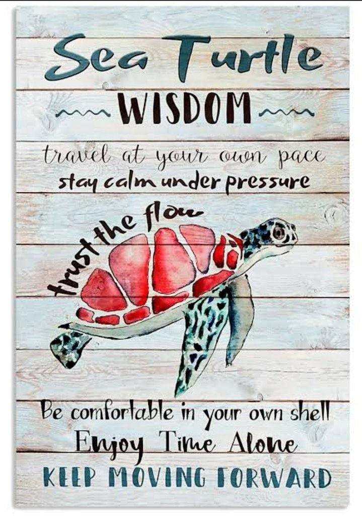 Trusting the Journey