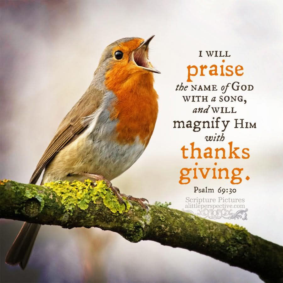 Praise God with a Song
