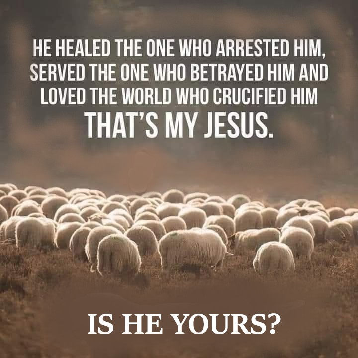 Sacrifice of the Son