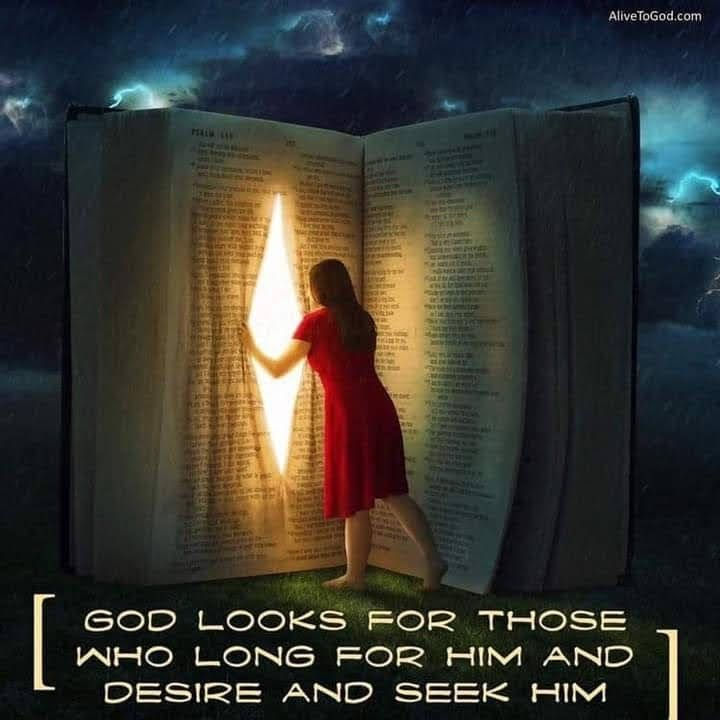 Seeking God's Understanding