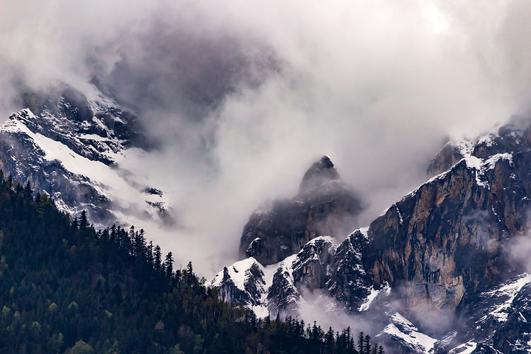 изображение 2 (1).jpg