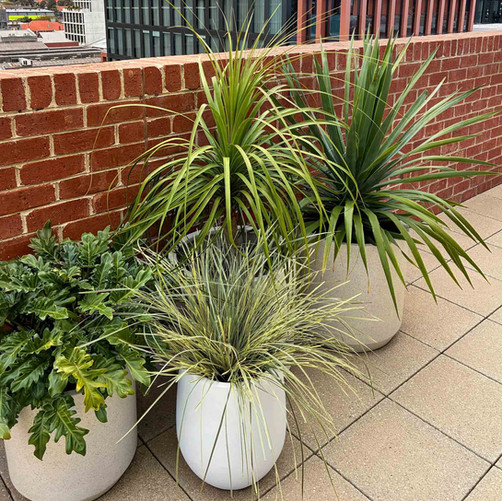 Plant Hire Melbourne Corporate Installation