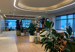 Parker Road Indoor Plant Hire - Knight Frank-9.JPG