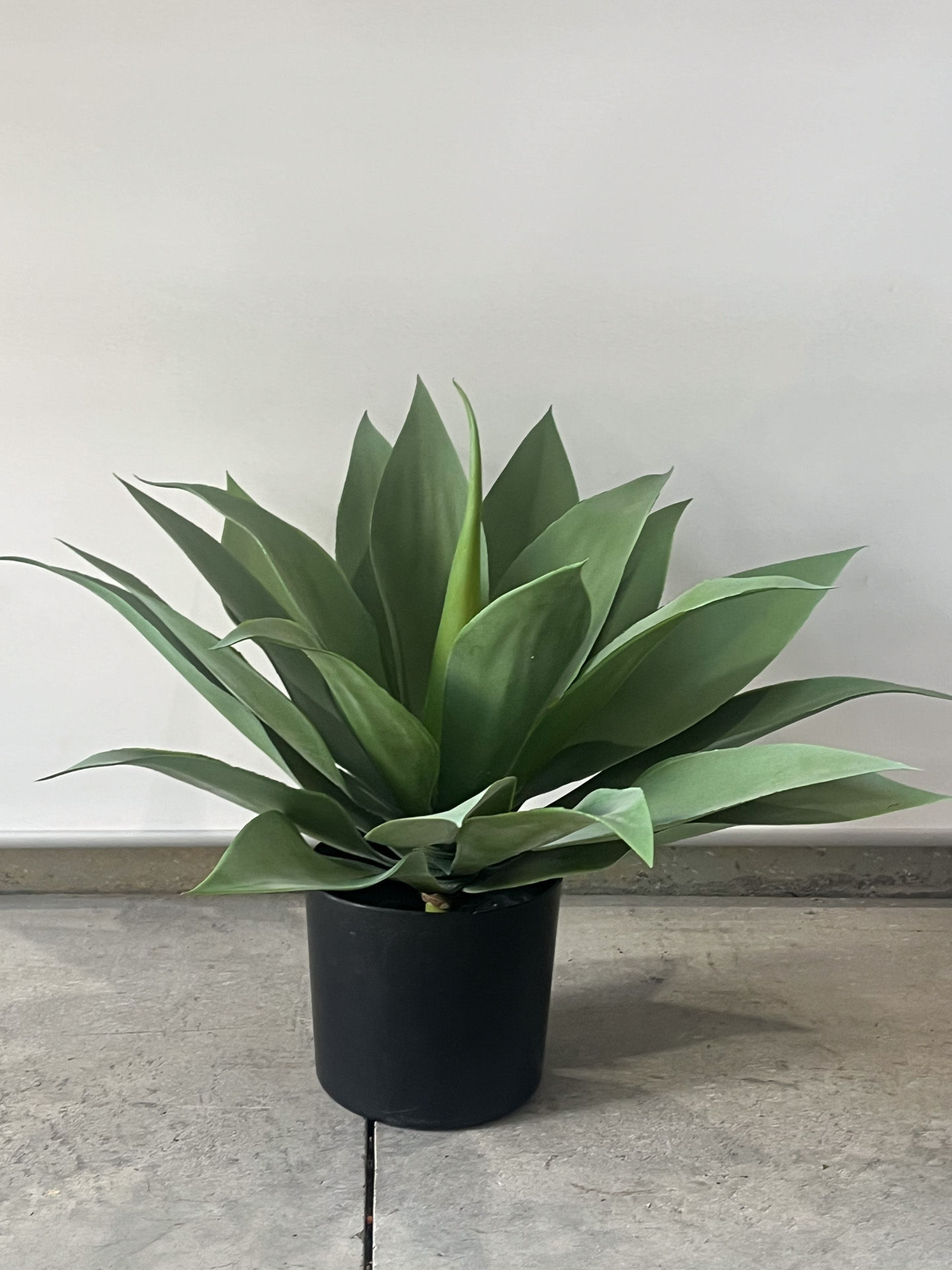 Australia's Commercial Indoor Greenery Experts - Artificial Agave Plant