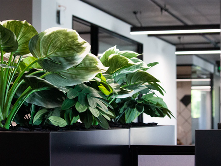 Advantages of Artificial Plants